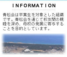 ˥塼